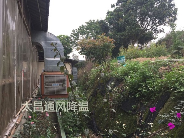 餐廳太熱？環(huán)保空調(diào)為你送清風