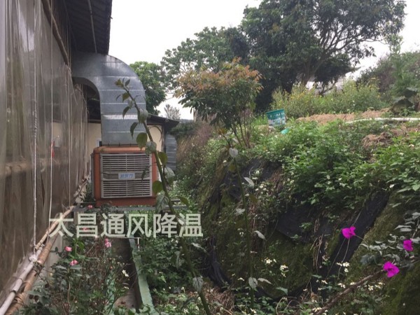 天氣太熱?環(huán)保空調為你的餐廳守護清涼